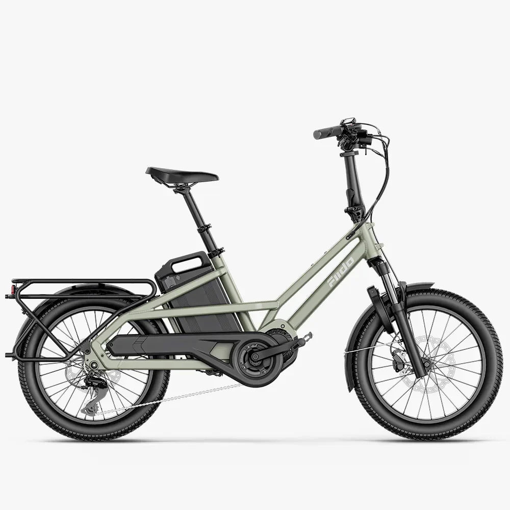 Fiido T3 Electric Cargo Bike