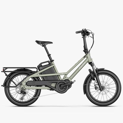Fiido T3 Electric Cargo Bike