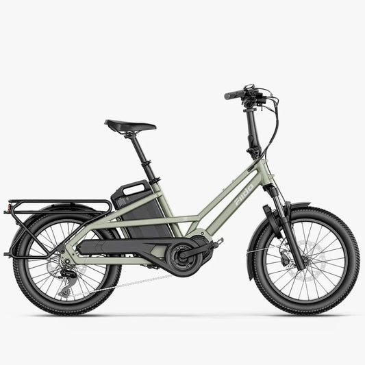 Fiido T3 Electric Cargo Bike
