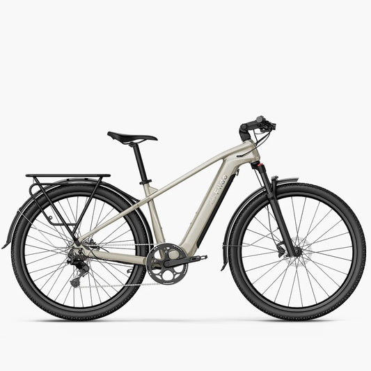 Fiido Nomad Electric Bike