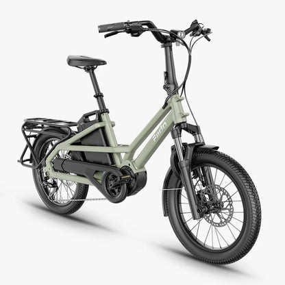 Fiido T3 Electric Cargo Bike